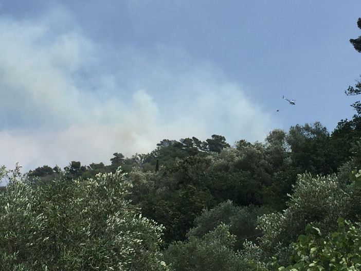 Imperia: piccolo incendio di sterpaglie questa mattina in località Cantalupo, spegnimento in atto