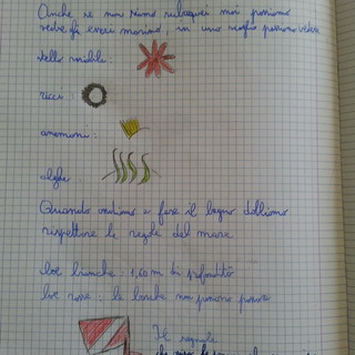 San Bartolomeo al Mare: l'associazione 'Informare' ha concluso oggi il ciclo di lezioni di biologia marina San Bartolomeo al Mare: l'associazione 'Informare' ha concluso oggi il ciclo di lezioni di biologia marina