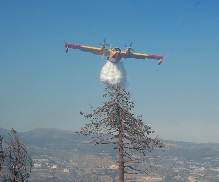 Ceriana: a fuoco 5 ettari di bosco, arrivato anche un Canadair da Olbia Ceriana: a fuoco 5 ettari di bosco, arrivato anche un Canadair da Olbia