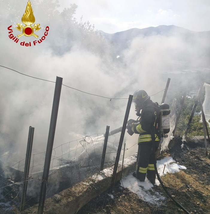 Incendio di un'auto a Bussana, le fiamme raggiungono la vegetazione: tempestivo intervento dei Vigili del Fuoco evita il peggio