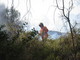 Ventimiglia: vasto incendio boschivo in località Calvo, Vigili del Fuoco, Forestale e Volontari sul posto Ventimiglia: vasto incendio boschivo in località Calvo, Vigili del Fuoco, Forestale e Volontari sul posto