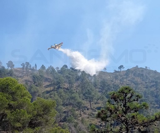 Ventimiglia: incendio sul Grammondo a Torri, ancora fiamme con Canadair ed elicottero in azione