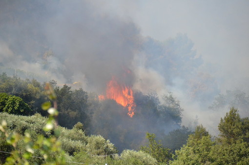 Due incendi di sterpaglie questo pomeriggio: il secondo vicino all'autostrada A10 vicino a Castellaro Due incendi di sterpaglie questo pomeriggio: il secondo vicino all'autostrada A10 vicino a Castellaro