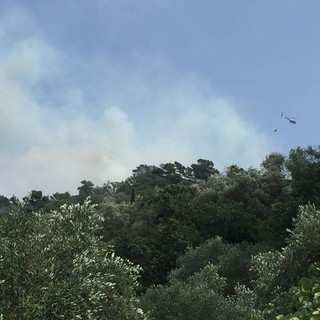 Imperia: piccolo incendio di sterpaglie questa mattina in località Cantalupo, spegnimento in atto