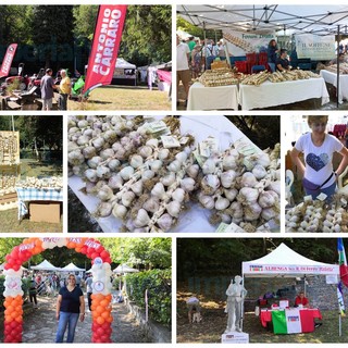 Vessalico: invasione di visitatori già di primo mattino alla 'Fiera dell'Aglio' che si svolge oggi e domani (Foto)