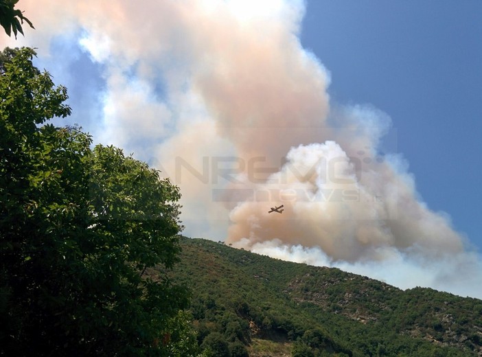 Provincia di Imperia sempre nella morsa degli incendi: nuovo rogo di bosco stavolta a Torre Paponi Provincia di Imperia sempre nella morsa degli incendi: nuovo rogo di bosco stavolta a Torre Paponi