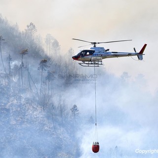 Taggia: fumo dalla collina bruciata domenica, torna in azione l'elicottero