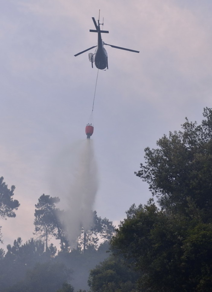 Vasia: incendio boschivo in atto, sul posto Vigili del Fuoco, volontari e un elicottero Vasia: incendio boschivo in atto, sul posto Vigili del Fuoco, volontari e un elicottero
