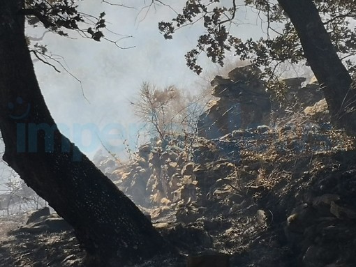 San Biagio della Cima: 4 incendi dolosi nel giro di pochi giorni, scoperto il piromane è un 63enne di Bordighera