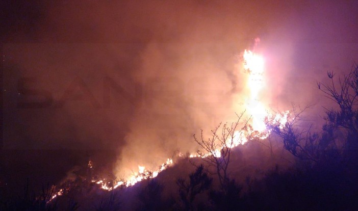 Sanremo: incendio questa notte nella zona della Croce della Parà, intervento di Vvf e Volontari (Foto) Sanremo: incendio questa notte nella zona della Croce della Parà, intervento di Vvf e Volontari (Foto)