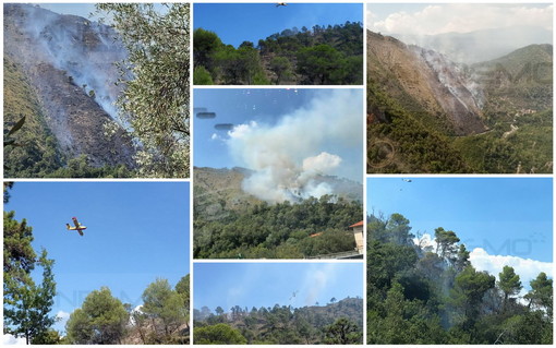 Olivetta San Michele: incendio boschivo a ridosso della Statale 20 al confine con Airole, soccorsi sul posto e Canadair all'opera (Foto e Video)