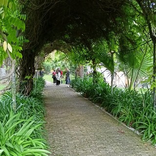 140 anni dopo in compagnia di Claude Monet a Bordighera: i luoghi che l'hanno incantato, gli edifici da lui immortalati, i punti di vista da lui prescelti 140 anni dopo in compagnia di Claude Monet a Bordighera: i luoghi che l'hanno incantato, gli edifici da lui immortalati, i punti di vista da lui prescelti