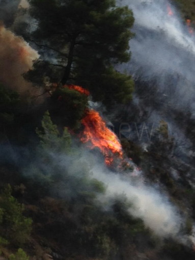 Cipressa: un altro incendio boschivo in località Avreghi, sul posto Forestale, Volontari ed un elicottero