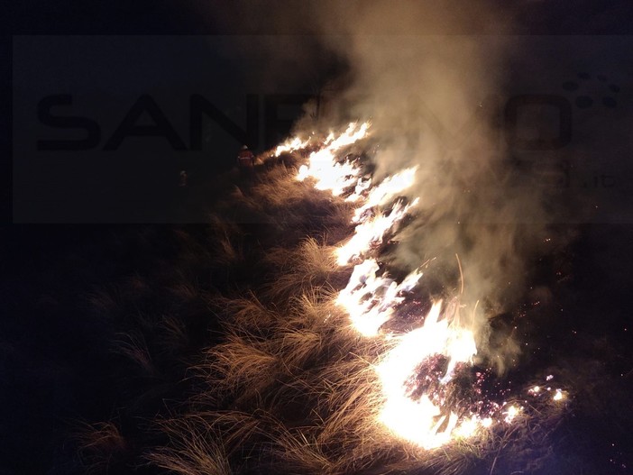 Incendio boschivo questa notte nella zona di Monte Ceppo: spento alle 2 da Protezione Civile e Rangers (Foto e Video) Incendio boschivo questa notte nella zona di Monte Ceppo: spento alle 2 da Protezione Civile e Rangers (Foto e Video)