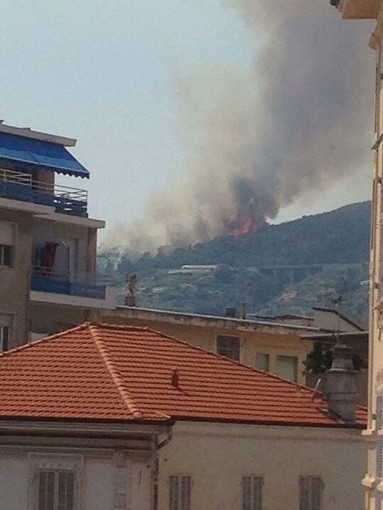 La provincia di Imperia nella morsa degli incendi: roghi anche a Monte Nero e nuovamente a Perinaldo La provincia di Imperia nella morsa degli incendi: roghi anche a Monte Nero e nuovamente a Perinaldo