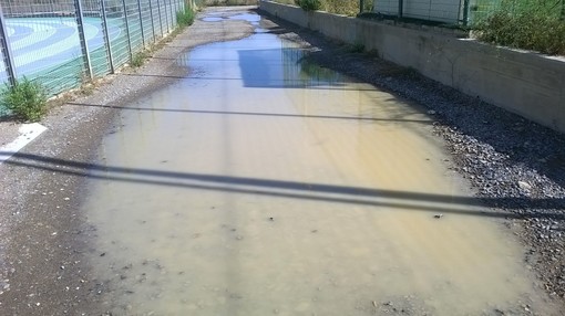 Sanremo: lettore chiede l'asfaltatura della strada che porta all'ingresso della pista d'atletica Sanremo: lettore chiede l'asfaltatura della strada che porta all'ingresso della pista d'atletica