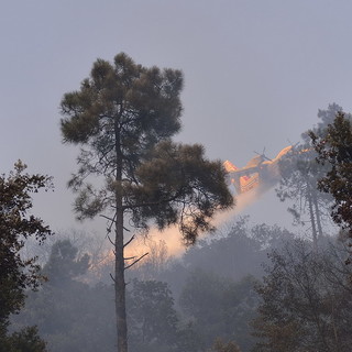 Misure di prevenzione e di contrasto al fenomeno degli  incendi boschivi: oggi riunione in Prefettura