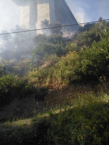 Taggia: incendio boschivo in via Santa Lucia, intervento dei Vigili del Fuoco e dei Volontari