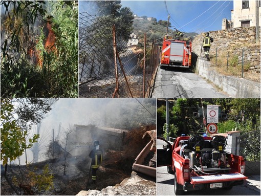 Le immagini dell'incendio