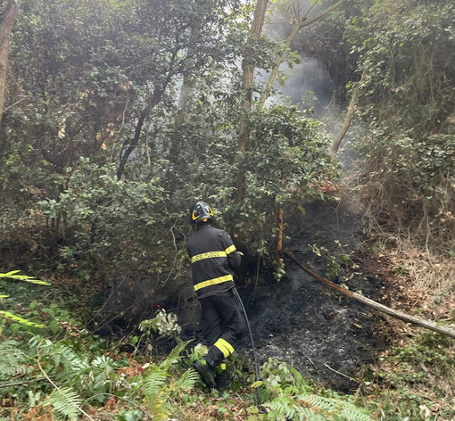 Il pronto intervento dei Vigili del Fuoco Il pronto intervento dei Vigili del Fuoco