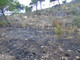 Cervo: incendio di ieri sera vicino al Parco del Ciapà, fiamme da una discarica abusiva di verde (Foto) Cervo: incendio di ieri sera vicino al Parco del Ciapà, fiamme da una discarica abusiva di verde (Foto)