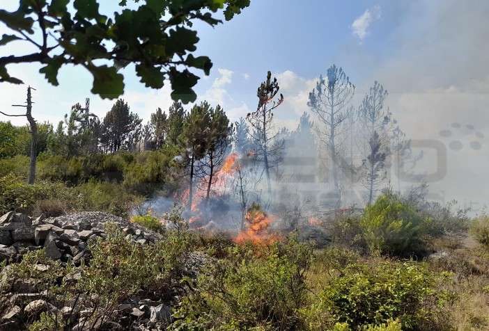 Ventimiglia: prosegue la bonifica sull'incendio del monte Pozzo, nella notte sarà ancora presidiato