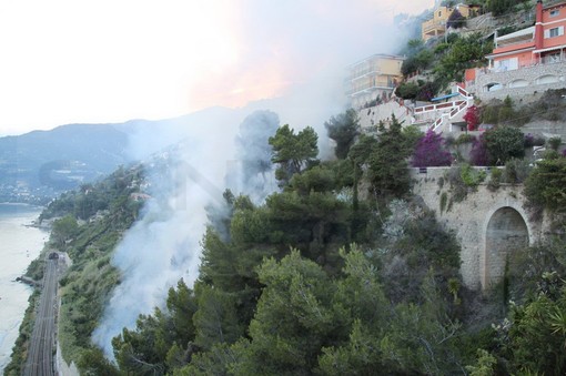 Ventimiglia: vasto incendio di sterpaglie nella zona delle Calandre, intervento dei Vigili del Fuoco (Foto e Video)