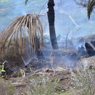 Bordighera: due palme vanno a fuoco nella zona del cimitero dell'Arziglia, intervento dei VVF
