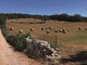 Il Cammino Materano, intervista a Giorgio: a spasso tra Puglia e Basilicata Il Cammino Materano, intervista a Giorgio: a spasso tra Puglia e Basilicata