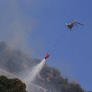 Ventimiglia: incendio boschivo a Mortola Superiore, intervento dei Vvf, Protezione Civile ed un elicottero
