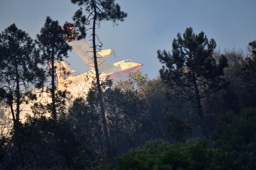 Incendi nell'entroterra di Imperia: due Canadair ed un elicottero in volo per le operazioni di spegnimento