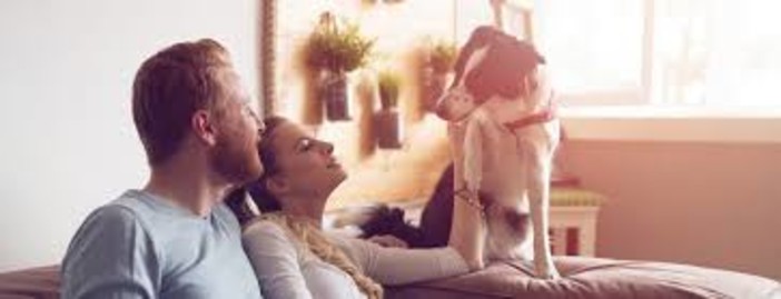 Con le offerte Iren Casa H24 e H24+, i guasti domestici non rappresentamo più un problema Con le offerte Iren Casa H24 e H24+, i guasti domestici non rappresentamo più un problema