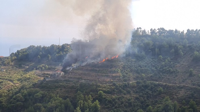 Castellaro: incendio in una campagna di strada Pinea, fiamme molto vicine all'abitazione (Foto) Castellaro: incendio in una campagna di strada Pinea, fiamme molto vicine all'abitazione (Foto)
