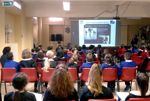 Vallecrosia: giovedì prossimo nuovo appuntamento per il progetto divulgativo sulla zanzara tigre Vallecrosia: giovedì prossimo nuovo appuntamento per il progetto divulgativo sulla zanzara tigre