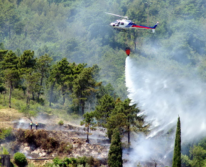 Dolcedo: incendio di sterpaglie divampato da poco vicino al cimitero, intervento di VVF e Forestale Dolcedo: incendio di sterpaglie divampato da poco vicino al cimitero, intervento di VVF e Forestale