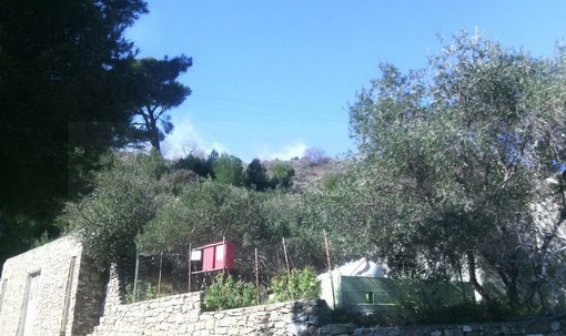 Sfonda ad Andora l’incendio boschivo di Cervo: intervento della protezione civile di andora per contenere le fiamme