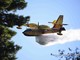 Olivetta San Michele: si è allargato l'incendio in montagna, arrivano gli elicotteri ed il Canadair Olivetta San Michele: si è allargato l'incendio in montagna, arrivano gli elicotteri ed il Canadair