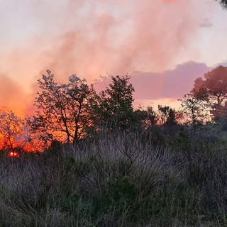 Diano San Pietro: incendio boschivo in atto, sul posto intervengono i Vigili del Fuoco