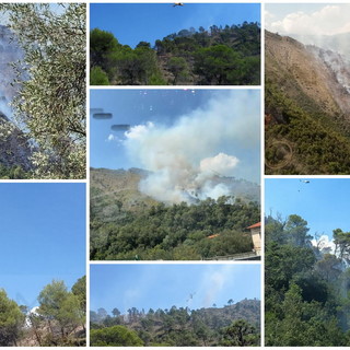 Olivetta San Michele: incendio boschivo a ridosso della Statale 20 al confine con Airole, soccorsi sul posto e Canadair all'opera (Foto e Video) Olivetta San Michele: incendio boschivo a ridosso della Statale 20 al confine con Airole, soccorsi sul posto e Canadair all'opera (Foto e Video)