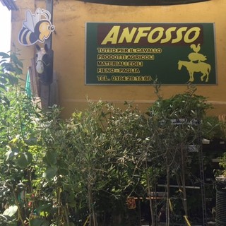 Camporosso: presso la ditta Anfosso Agraria tutti i prodotti per l'apicultura, l'equitazione e la toelettatura. Ma non solo Camporosso: presso la ditta Anfosso Agraria tutti i prodotti per l'apicultura, l'equitazione e la toelettatura. Ma non solo