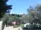 Sfonda ad Andora l’incendio boschivo di Cervo: intervento della protezione civile di andora per contenere le fiamme Sfonda ad Andora l’incendio boschivo di Cervo: intervento della protezione civile di andora per contenere le fiamme