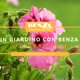 &quot;In giardino con Benza&quot;: su Sanremonews parte la rubrica con i consigli mensili dell'agronomo Enrico Leva