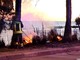 Sanremo: sparano alcuni petardi e provocano l'incendio che distrugge una palma sul lungomare Calvino (Foto e Video)