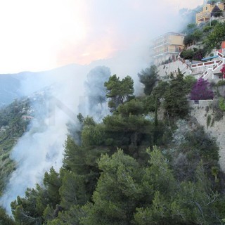 Ventimiglia: vasto incendio di sterpaglie nella zona delle Calandre, intervento dei Vigili del Fuoco (Foto e Video)
