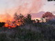 Diano San Pietro: incendio boschivo in atto, sul posto intervengono i Vigili del Fuoco