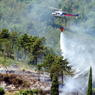 Dolcedo: incendio di sterpaglie divampato da poco vicino al cimitero, intervento di VVF e Forestale Dolcedo: incendio di sterpaglie divampato da poco vicino al cimitero, intervento di VVF e Forestale