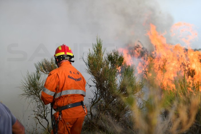Molini di Triora: incendio di sterpaglie nella zona versa Andagna, intervento dei Vigili del Fuoco Molini di Triora: incendio di sterpaglie nella zona versa Andagna, intervento dei Vigili del Fuoco