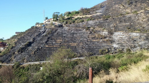Sanremo: incendio di questa notte a Coldirodi, l'intervento di due elicotteri per le operazioni di bonifica (Foto e Video)