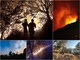 Le immagini dalla zona dell'incendio