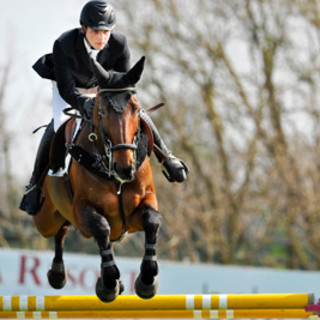 Equitazione: risultati odierni Concorso intern. di Sanremo